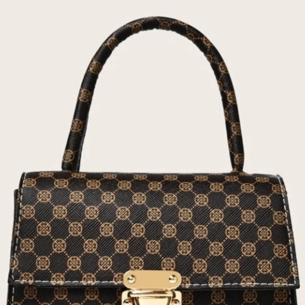 Small hangbag  purse